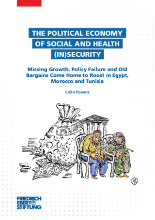 The political economy of social and health (in)security